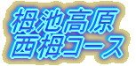 栂池高原 西栂コース