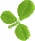 clover