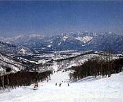 Hakuba47�E�B���^�[�X�|�[�c�p�[�N