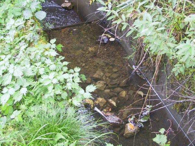 IMG_0267.jpg IMG_0267.jpg